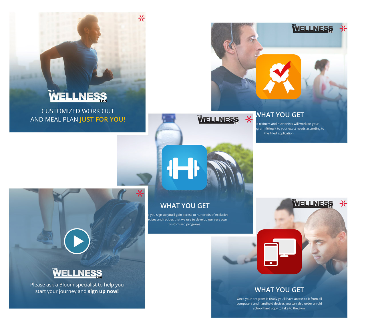 amr zakaria, the wellness log